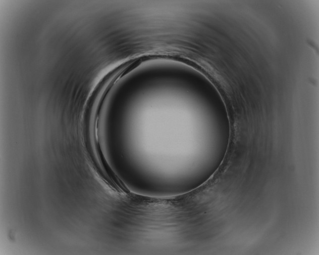 X0000092110838200709121617