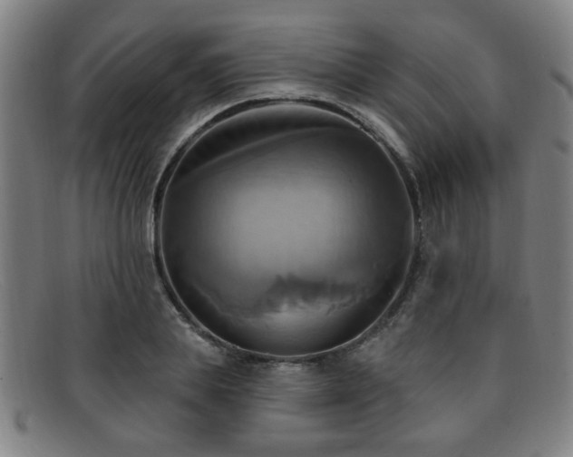 X0000092110839200709121617