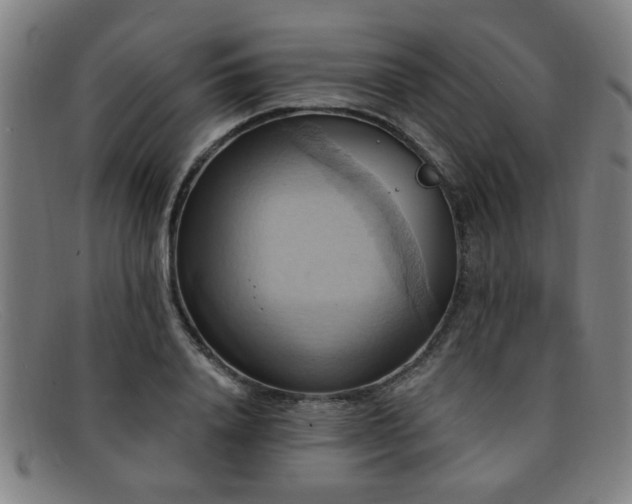 X0000092110840200709121617