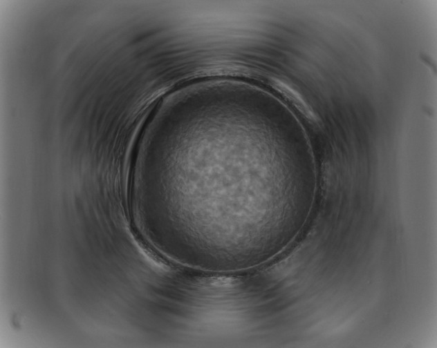 X0000092110841200709121617