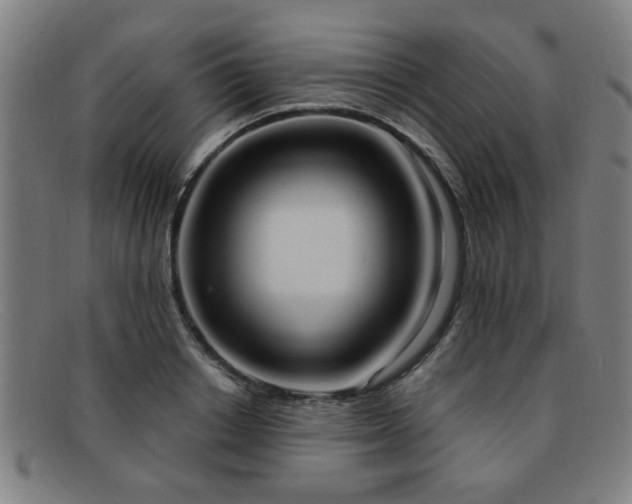 X0000092110842200709121617