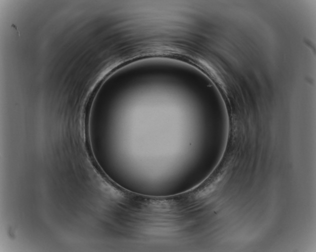 X0000092110843200709121617