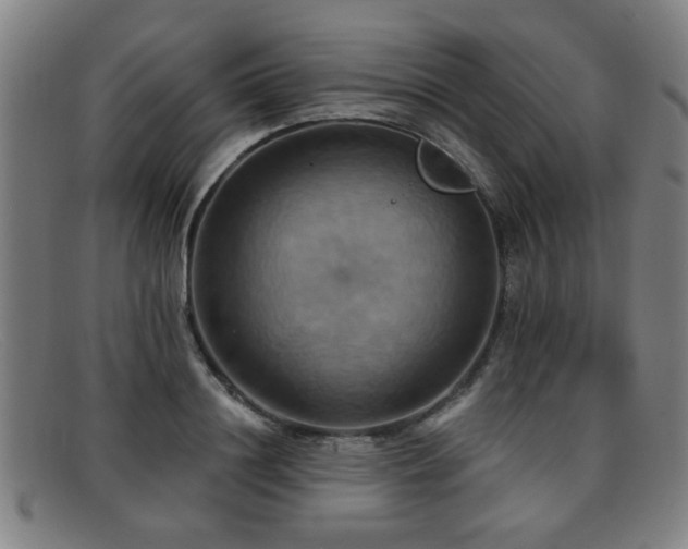 X0000092110844200709121617