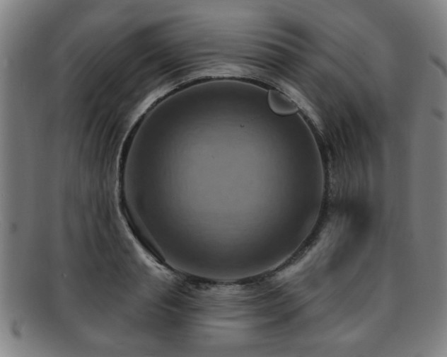 X0000092110845200709121617