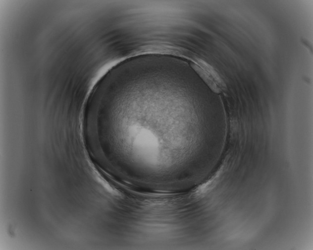 X0000092110846200709121617