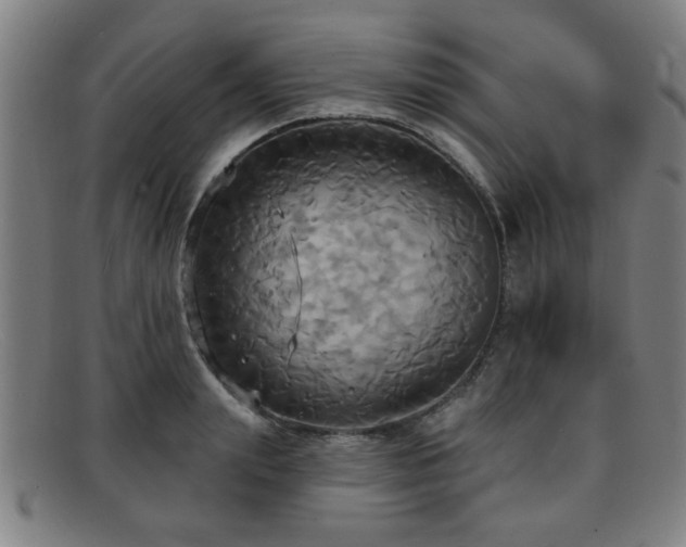 X0000092110847200709121617