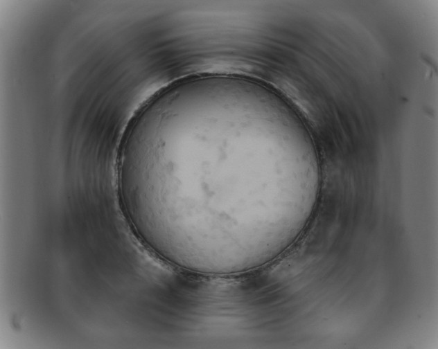 X0000092110848200709121617