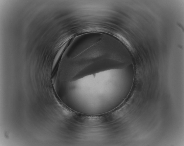 X0000092110849200709121617