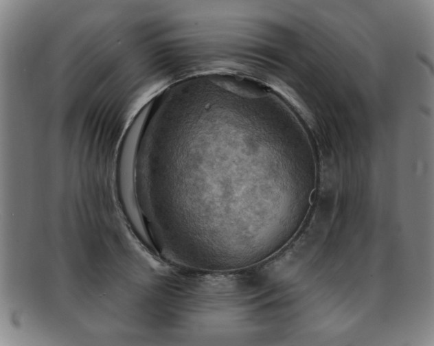 X0000092110850200709121617