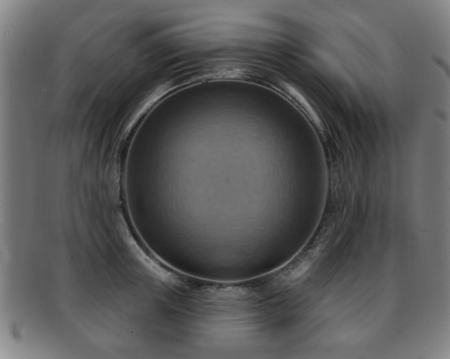 X0000092110851200709121617