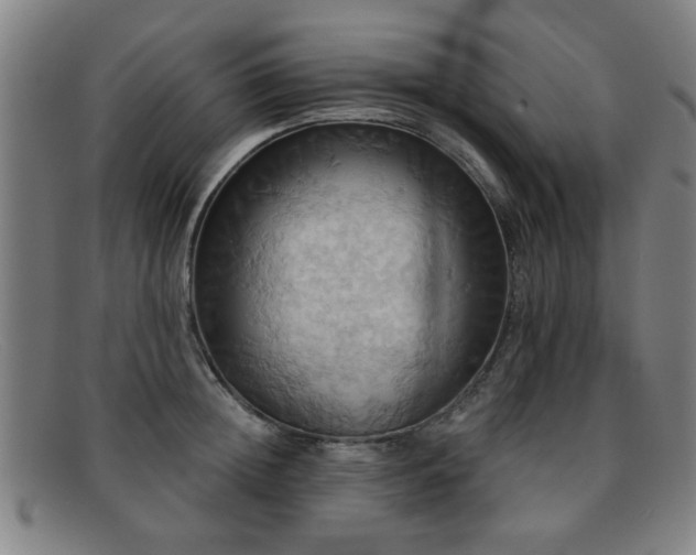 X0000092110852200709121617