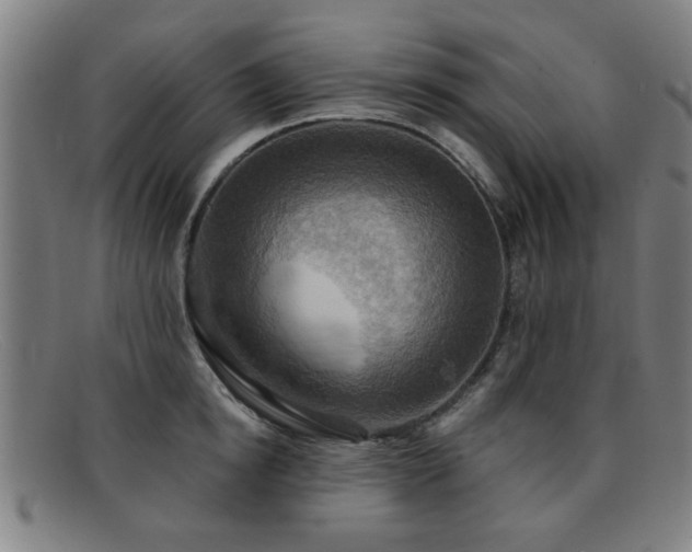 X0000092110854200709121617