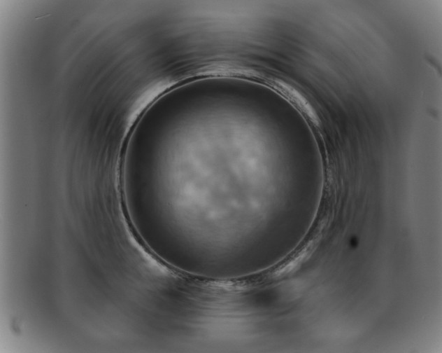 X0000092110855200709121617