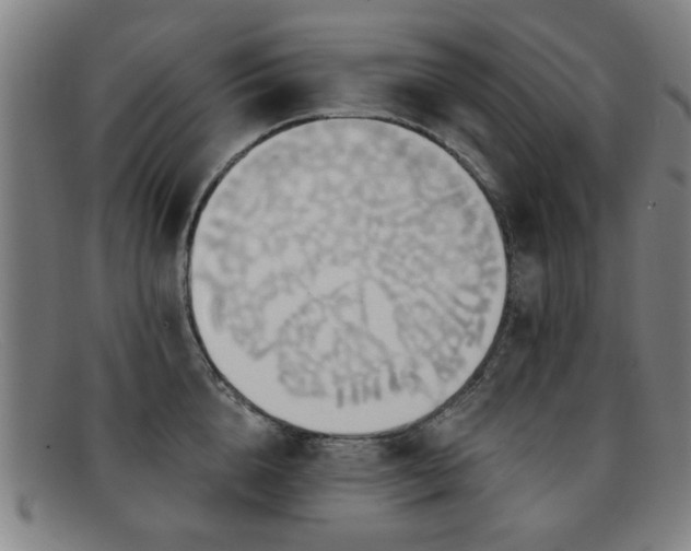 X0000092110856200709121617