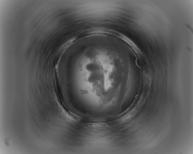 X0000092110857200709121617