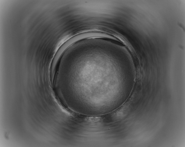 X0000092110858200709121617