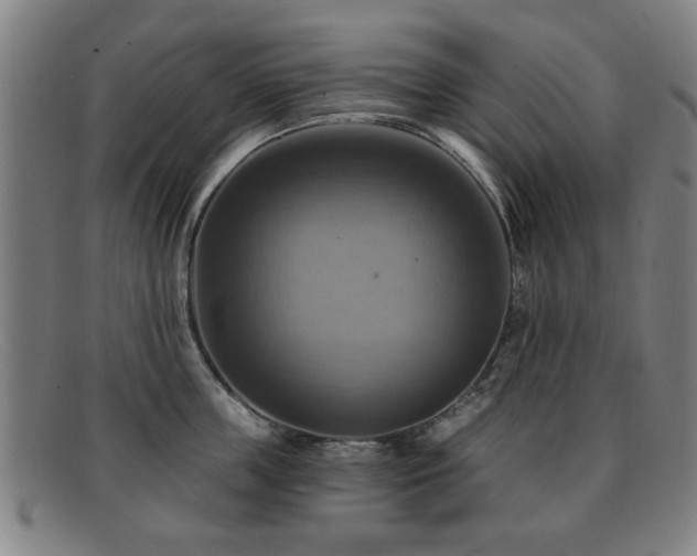 X0000092110859200709121617