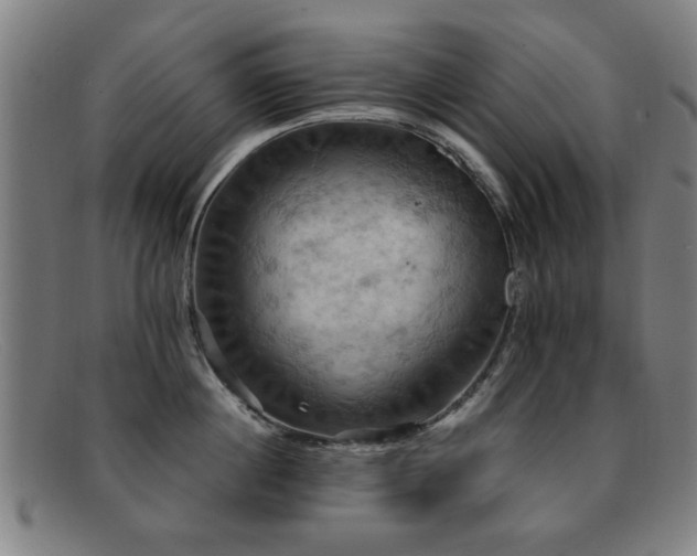 X0000092110860200709121617