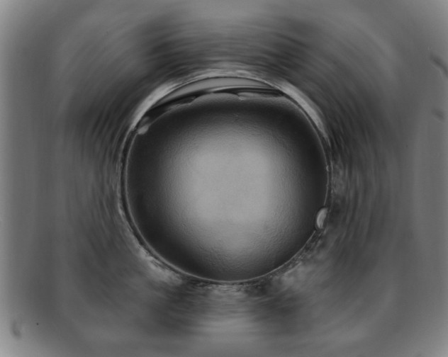 X0000092110861200709121617