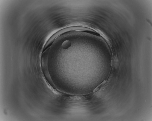 X0000092110862200709121617