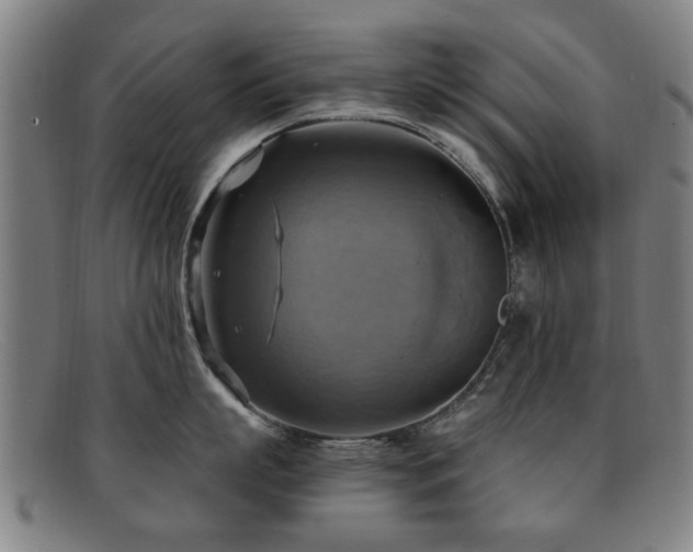 X0000092110863200709121617