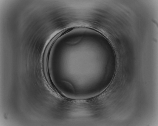 X0000092110864200709121617