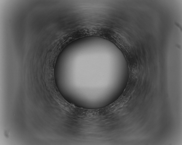 X0000092110865200709121616