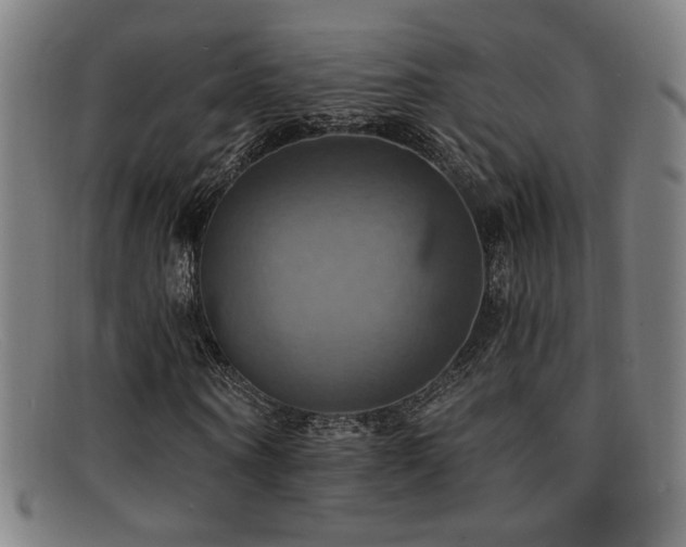 X0000092110866200709121616