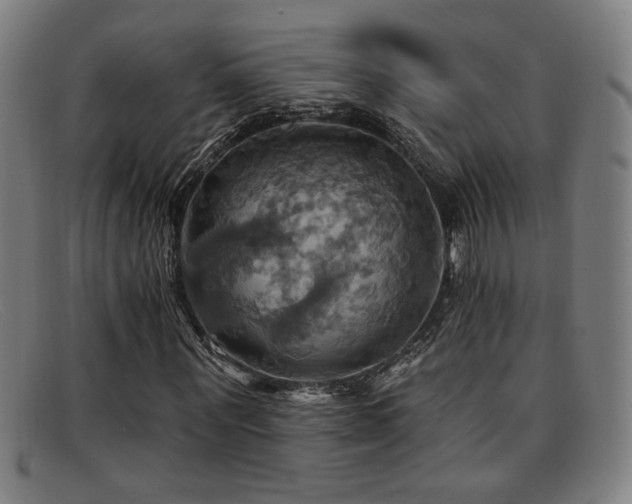 X0000092110867200709121616