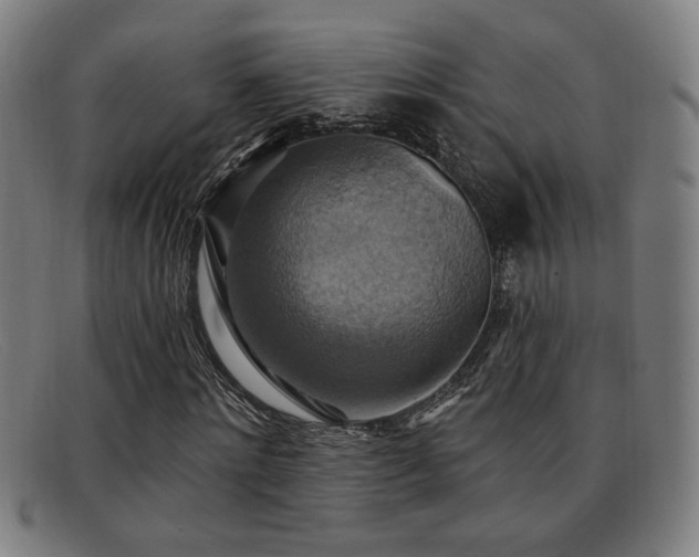 X0000092110868200709121616