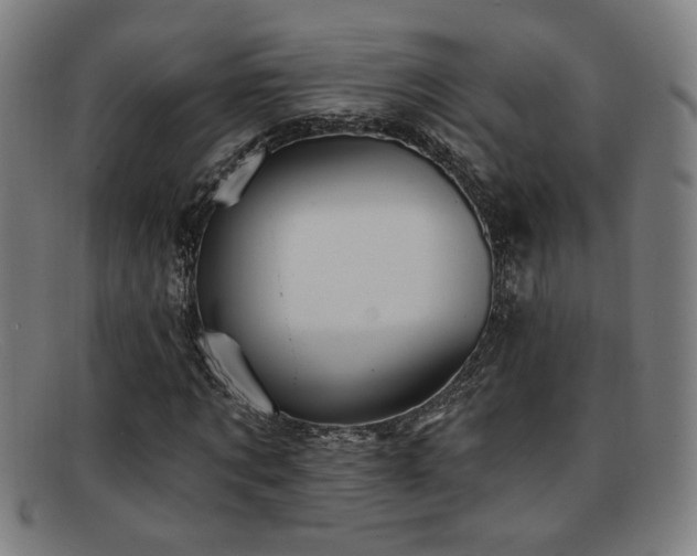 X0000092110869200709121616