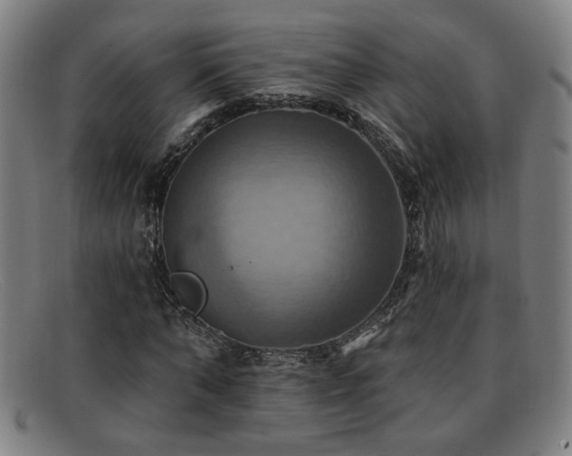 X0000092110870200709121616