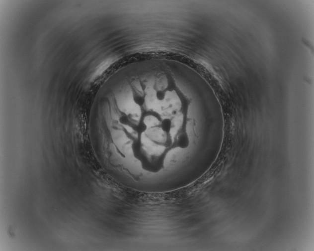 X0000092110871200709121616