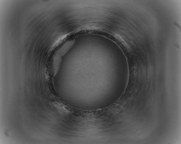 X0000092110872200709121616