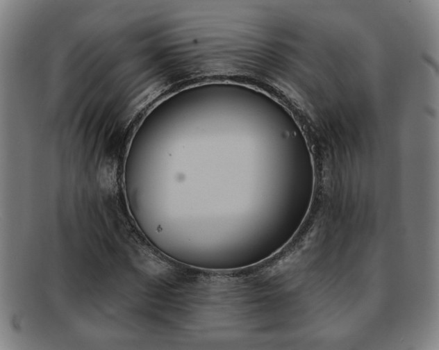 X0000092110873200709121616