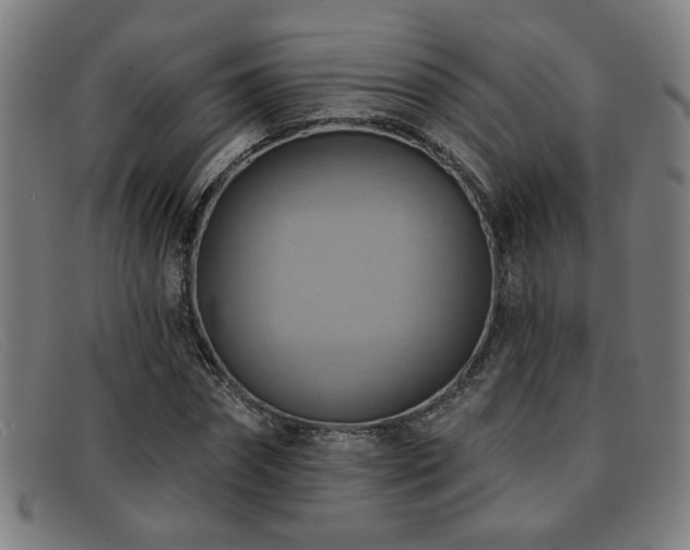 X0000092110874200709121616