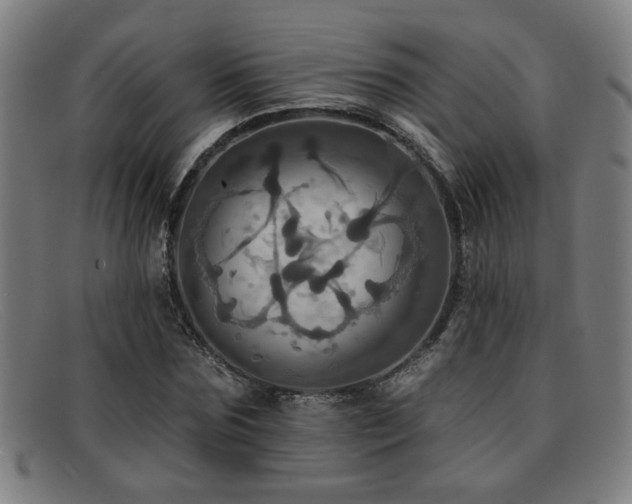 X0000092110875200709121616