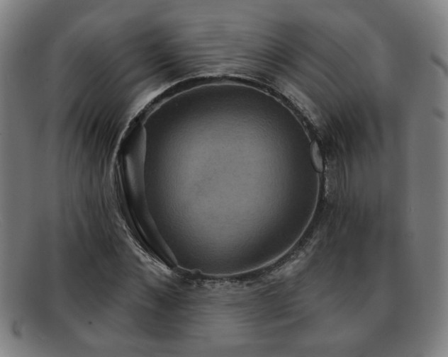 X0000092110876200709121616