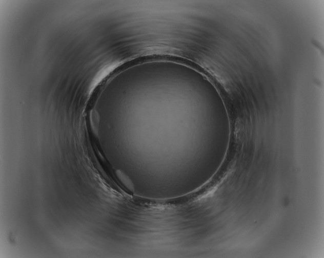 X0000092110877200709121616