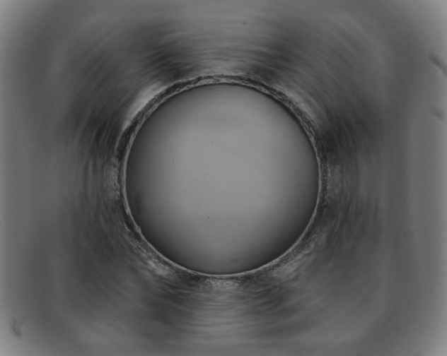 X0000092110878200709121616