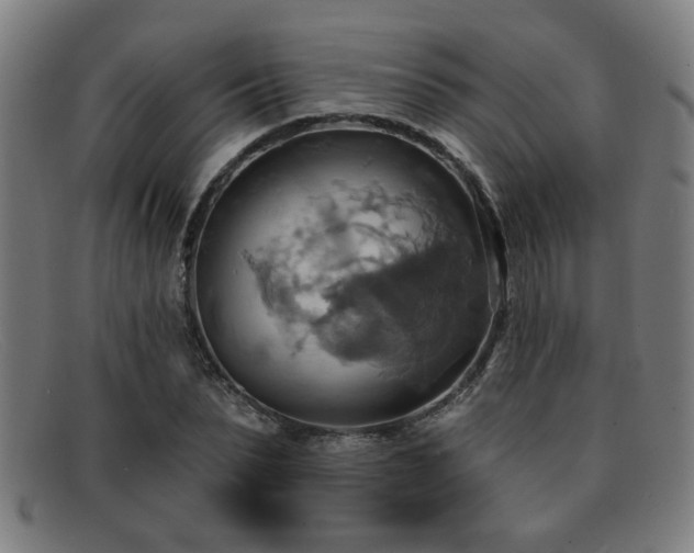 X0000092110879200709121616