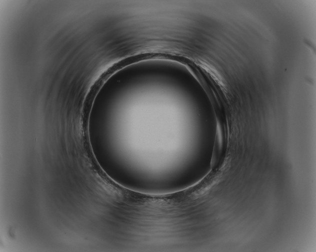 X0000092110880200709121616