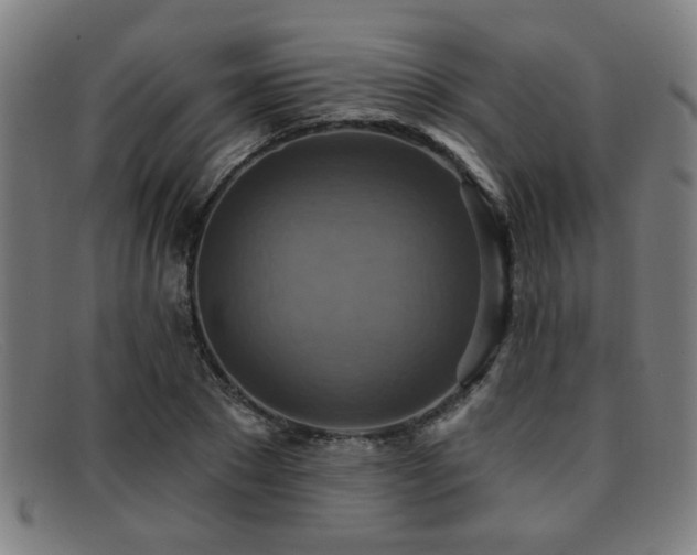 X0000092110881200709121616