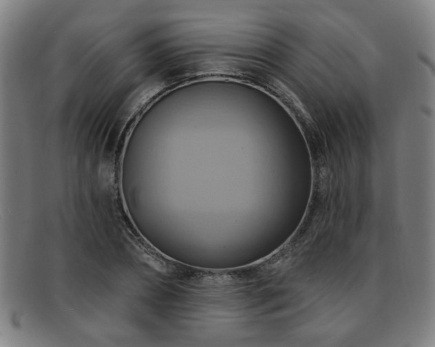 X0000092110882200709121616