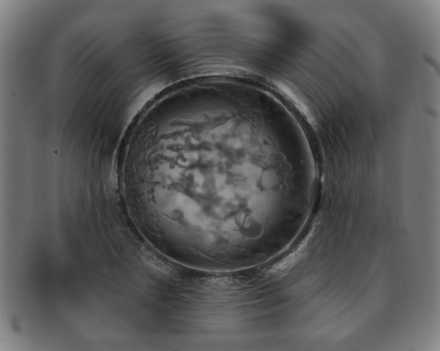 X0000092110883200709121616