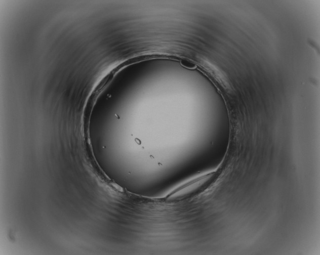 X0000092110884200709121616