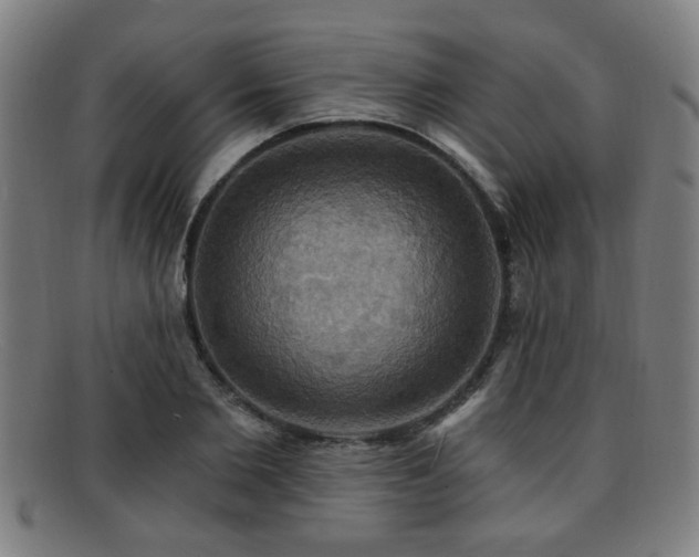 X0000092110885200709121616