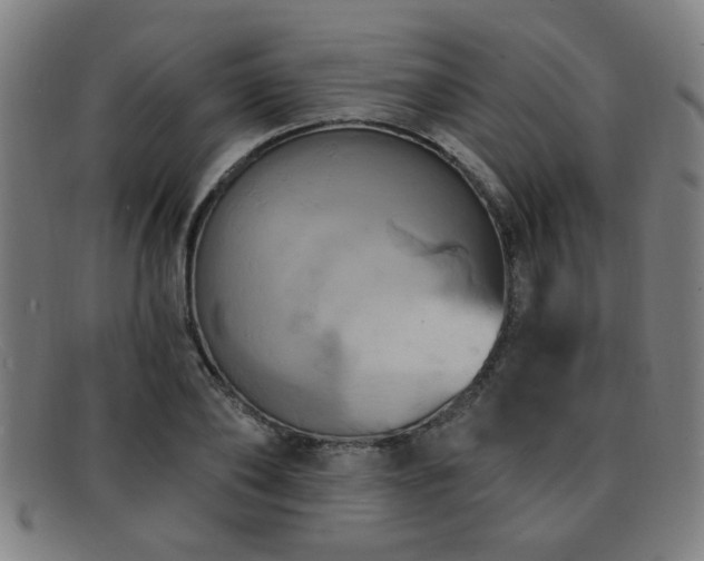 X0000092110886200709121616