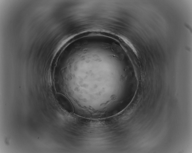 X0000092110887200709121616