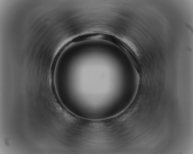 X0000092110888200709121616